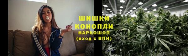 крисы Бронницы