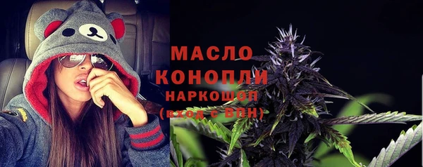 крисы Бронницы