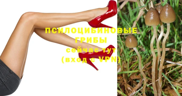амф Бугульма