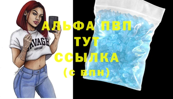 крисы Бронницы